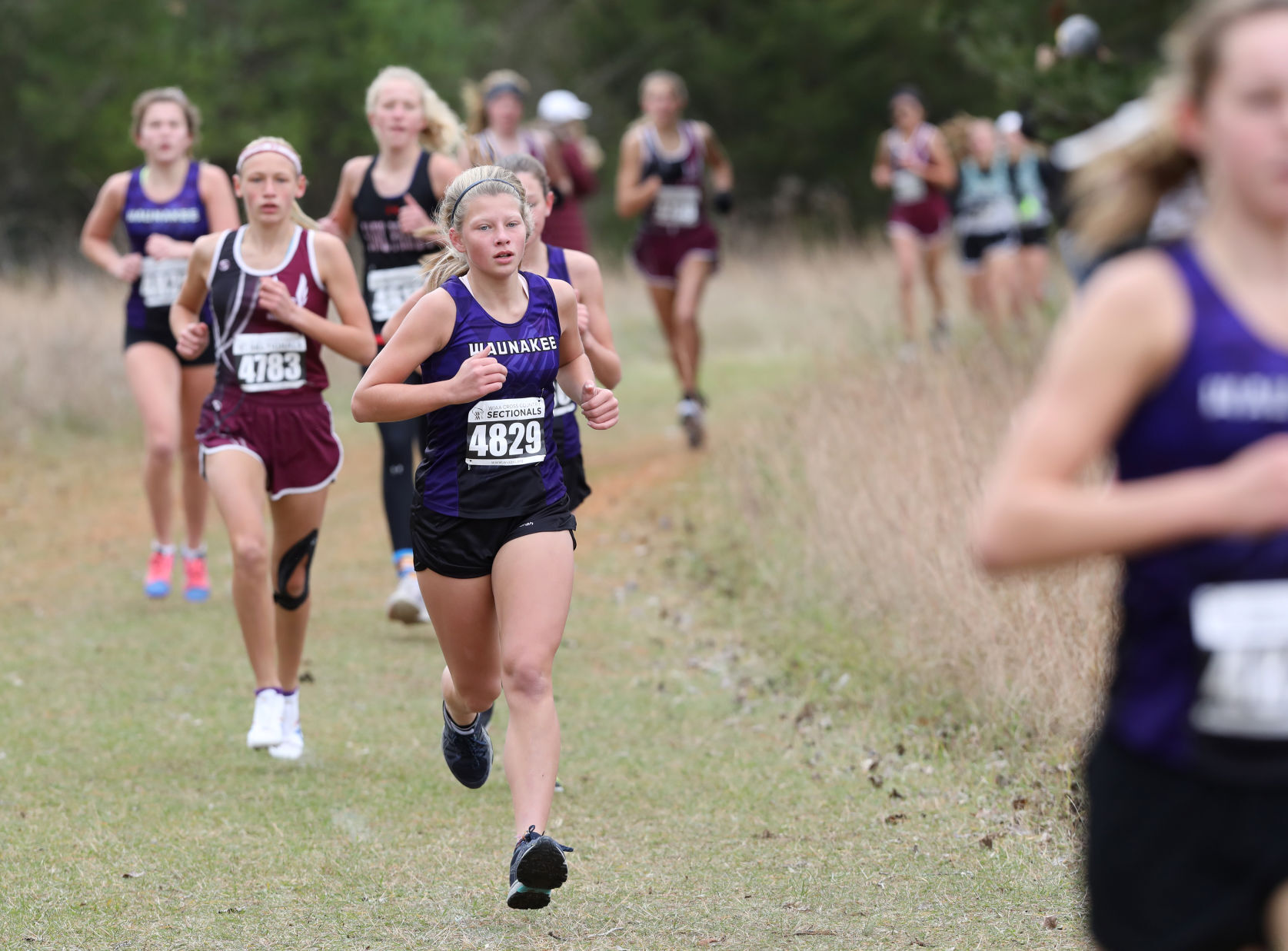 WIAA girls and boys cross country sectional